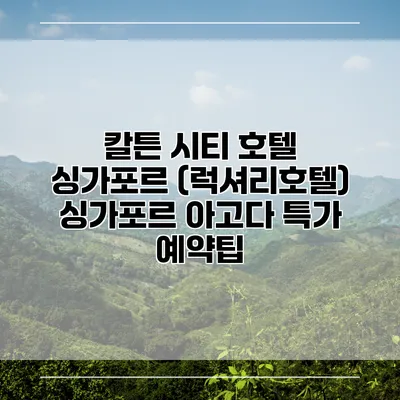 칼튼 시티 호텔 싱가포르 (럭셔리호텔) 싱가포르 아고다 특가 예약팁
