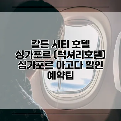 칼튼 시티 호텔 싱가포르 (럭셔리호텔) 싱가포르 아고다 할인 예약팁