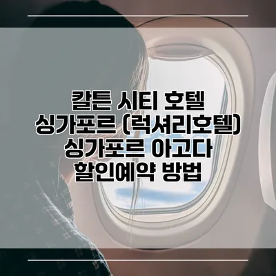 칼튼 시티 호텔 싱가포르 (럭셔리호텔) 싱가포르 아고다 할인예약 방법