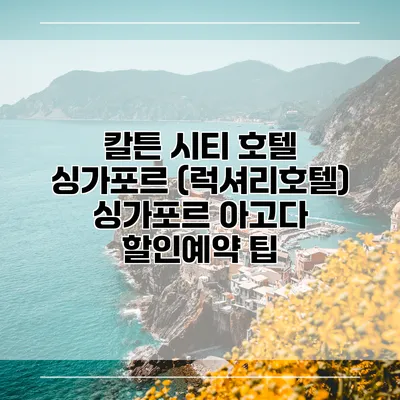 칼튼 시티 호텔 싱가포르 (럭셔리호텔) 싱가포르 아고다 할인예약 팁