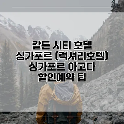칼튼 시티 호텔 싱가포르 (럭셔리호텔) 싱가포르 아고다 할인예약 팁