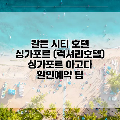 칼튼 시티 호텔 싱가포르 (럭셔리호텔) 싱가포르 아고다 할인예약 팁