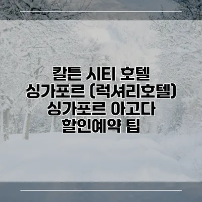 칼튼 시티 호텔 싱가포르 (럭셔리호텔) 싱가포르 아고다 할인예약 팁