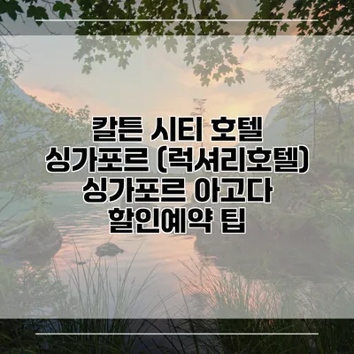 칼튼 시티 호텔 싱가포르 (럭셔리호텔) 싱가포르 아고다 할인예약 팁