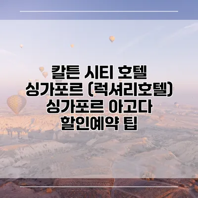 칼튼 시티 호텔 싱가포르 (럭셔리호텔) 싱가포르 아고다 할인예약 팁