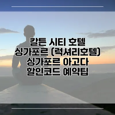 칼튼 시티 호텔 싱가포르 (럭셔리호텔) 싱가포르 아고다 할인코드 예약팁