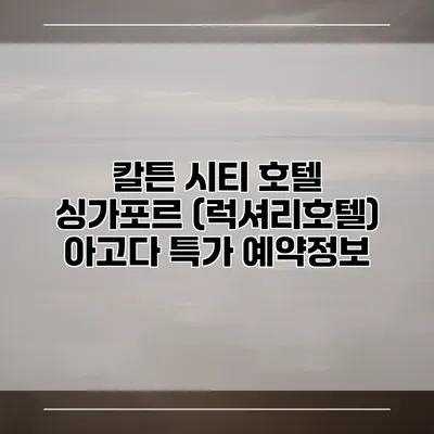 칼튼 시티 호텔 싱가포르 (럭셔리호텔) 아고다 특가 예약정보