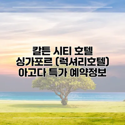 칼튼 시티 호텔 싱가포르 (럭셔리호텔) 아고다 특가 예약정보