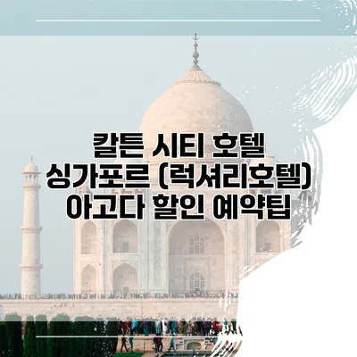 칼튼 시티 호텔 싱가포르 (럭셔리호텔) 아고다 할인 예약팁