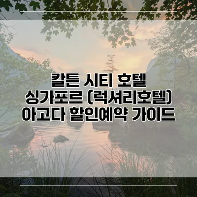 칼튼 시티 호텔 싱가포르 (럭셔리호텔) 아고다 할인예약 가이드