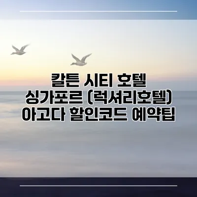 칼튼 시티 호텔 싱가포르 (럭셔리호텔) 아고다 할인코드 예약팁