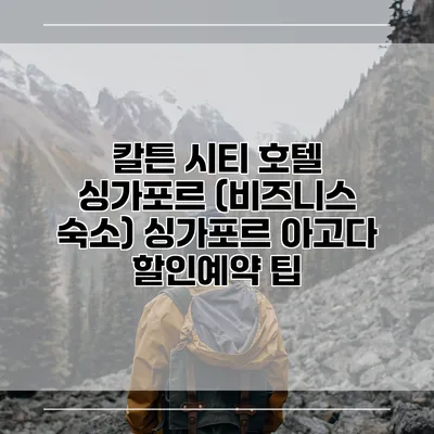 칼튼 시티 호텔 싱가포르 (비즈니스 숙소) 싱가포르 아고다 할인예약 팁