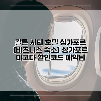 칼튼 시티 호텔 싱가포르 (비즈니스 숙소) 싱가포르 아고다 할인코드 예약팁