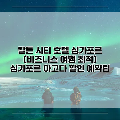 칼튼 시티 호텔 싱가포르 (비즈니스 여행 최적) 싱가포르 아고다 할인 예약팁