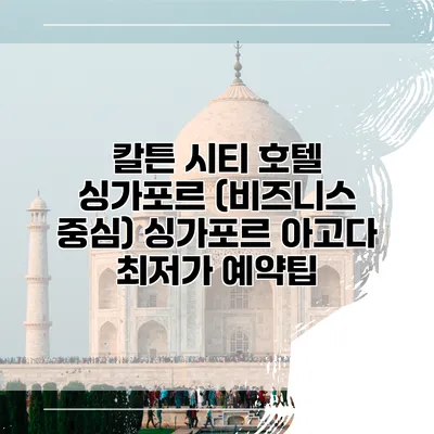 칼튼 시티 호텔 싱가포르 (비즈니스 중심) 싱가포르 아고다 최저가 예약팁