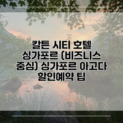 칼튼 시티 호텔 싱가포르 (비즈니스 중심) 싱가포르 아고다 할인예약 팁