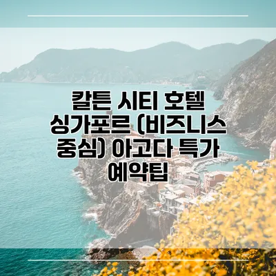 칼튼 시티 호텔 싱가포르 (비즈니스 중심) 아고다 특가 예약팁