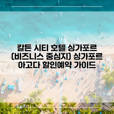 칼튼 시티 호텔 싱가포르 (비즈니스 중심지) 싱가포르 아고다 할인예약 가이드