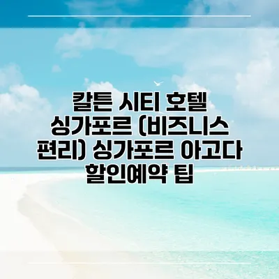 칼튼 시티 호텔 싱가포르 (비즈니스 편리) 싱가포르 아고다 할인예약 팁