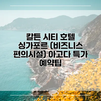 칼튼 시티 호텔 싱가포르 (비즈니스 편의시설) 아고다 특가 예약팁