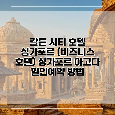 칼튼 시티 호텔 싱가포르 (비즈니스 호텔) 싱가포르 아고다 할인예약 방법