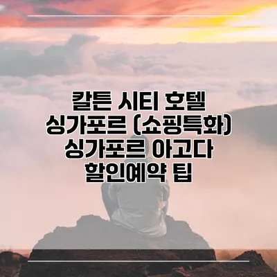칼튼 시티 호텔 싱가포르 (쇼핑특화) 싱가포르 아고다 할인예약 팁