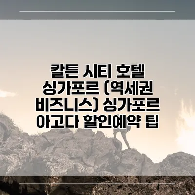 칼튼 시티 호텔 싱가포르 (역세권 비즈니스) 싱가포르 아고다 할인예약 팁