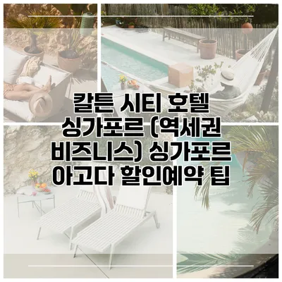 칼튼 시티 호텔 싱가포르 (역세권 비즈니스) 싱가포르 아고다 할인예약 팁