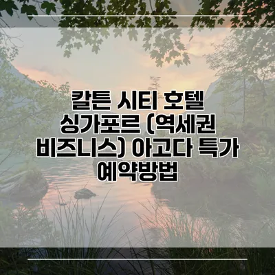칼튼 시티 호텔 싱가포르 (역세권 비즈니스) 아고다 특가 예약방법