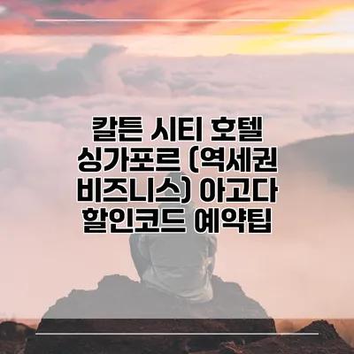 칼튼 시티 호텔 싱가포르 (역세권 비즈니스) 아고다 할인코드 예약팁