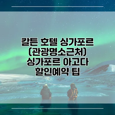 칼튼 호텔 싱가포르 (관광명소근처) 싱가포르 아고다 할인예약 팁