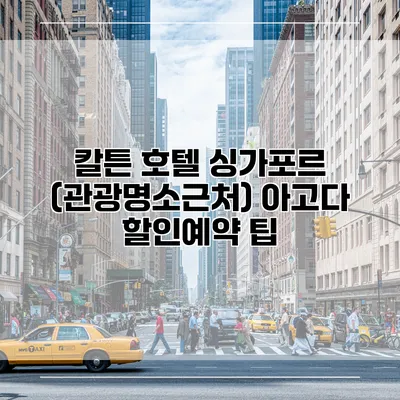 칼튼 호텔 싱가포르 (관광명소근처) 아고다 할인예약 팁