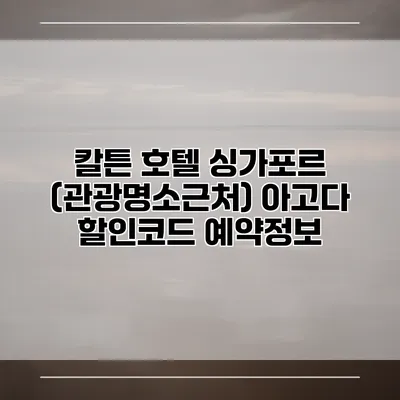 칼튼 호텔 싱가포르 (관광명소근처) 아고다 할인코드 예약정보