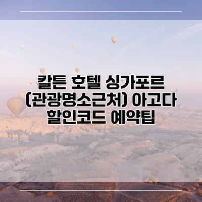 칼튼 호텔 싱가포르 (관광명소근처) 아고다 할인코드 예약팁