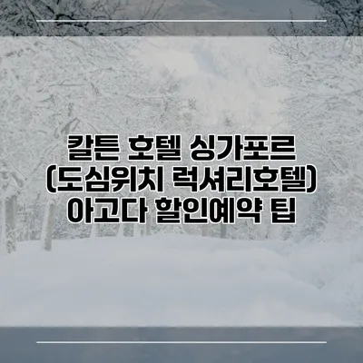 칼튼 호텔 싱가포르 (도심위치 럭셔리호텔) 아고다 할인예약 팁