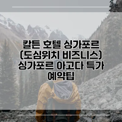 칼튼 호텔 싱가포르 (도심위치 비즈니스) 싱가포르 아고다 특가 예약팁