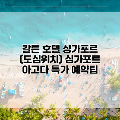 칼튼 호텔 싱가포르 (도심위치) 싱가포르 아고다 특가 예약팁