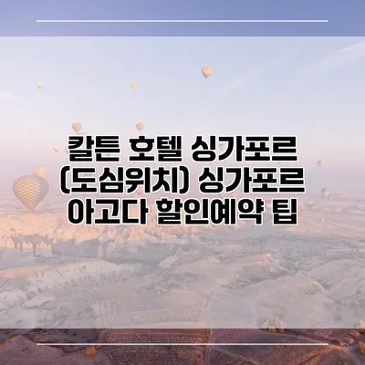 칼튼 호텔 싱가포르 (도심위치) 싱가포르 아고다 할인예약 팁
