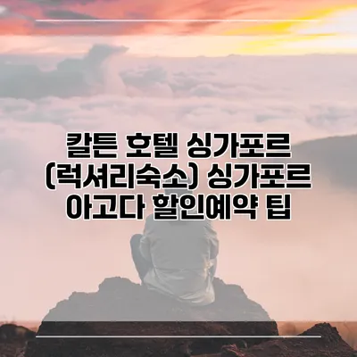 칼튼 호텔 싱가포르 (럭셔리숙소) 싱가포르 아고다 할인예약 팁