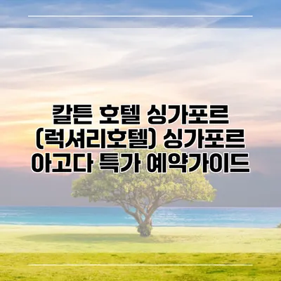 칼튼 호텔 싱가포르 (럭셔리호텔) 싱가포르 아고다 특가 예약가이드