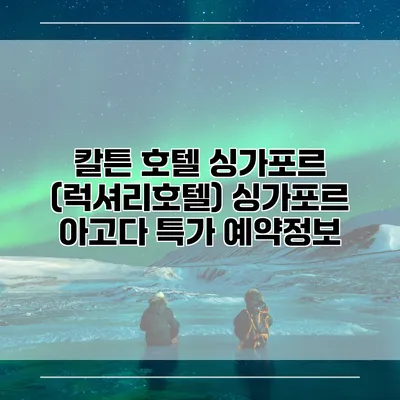 칼튼 호텔 싱가포르 (럭셔리호텔) 싱가포르 아고다 특가 예약정보