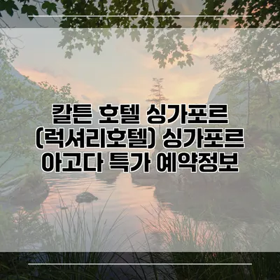 칼튼 호텔 싱가포르 (럭셔리호텔) 싱가포르 아고다 특가 예약정보
