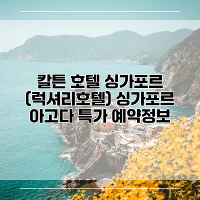칼튼 호텔 싱가포르 (럭셔리호텔) 싱가포르 아고다 특가 예약정보