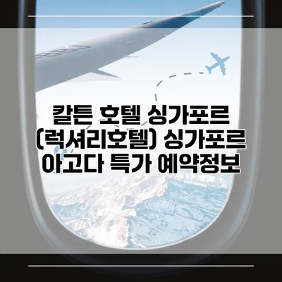 칼튼 호텔 싱가포르 (럭셔리호텔) 싱가포르 아고다 특가 예약정보