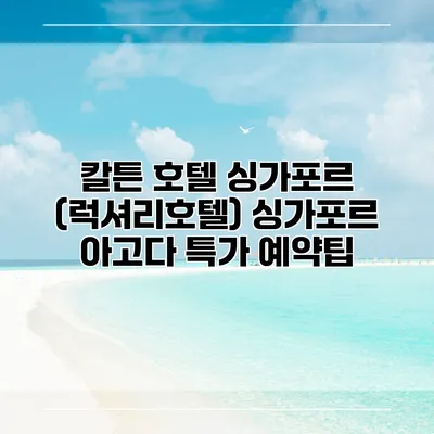 칼튼 호텔 싱가포르 (럭셔리호텔) 싱가포르 아고다 특가 예약팁