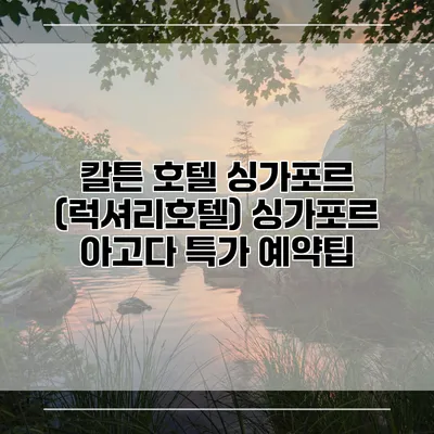 칼튼 호텔 싱가포르 (럭셔리호텔) 싱가포르 아고다 특가 예약팁