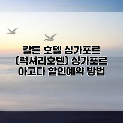칼튼 호텔 싱가포르 (럭셔리호텔) 싱가포르 아고다 할인예약 방법