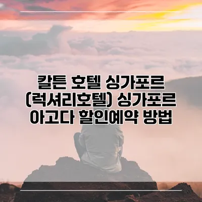 칼튼 호텔 싱가포르 (럭셔리호텔) 싱가포르 아고다 할인예약 방법