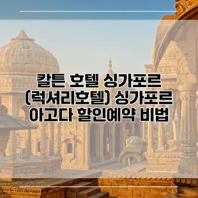 칼튼 호텔 싱가포르 (럭셔리호텔) 싱가포르 아고다 할인예약 비법