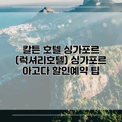 칼튼 호텔 싱가포르 (럭셔리호텔) 싱가포르 아고다 할인예약 팁